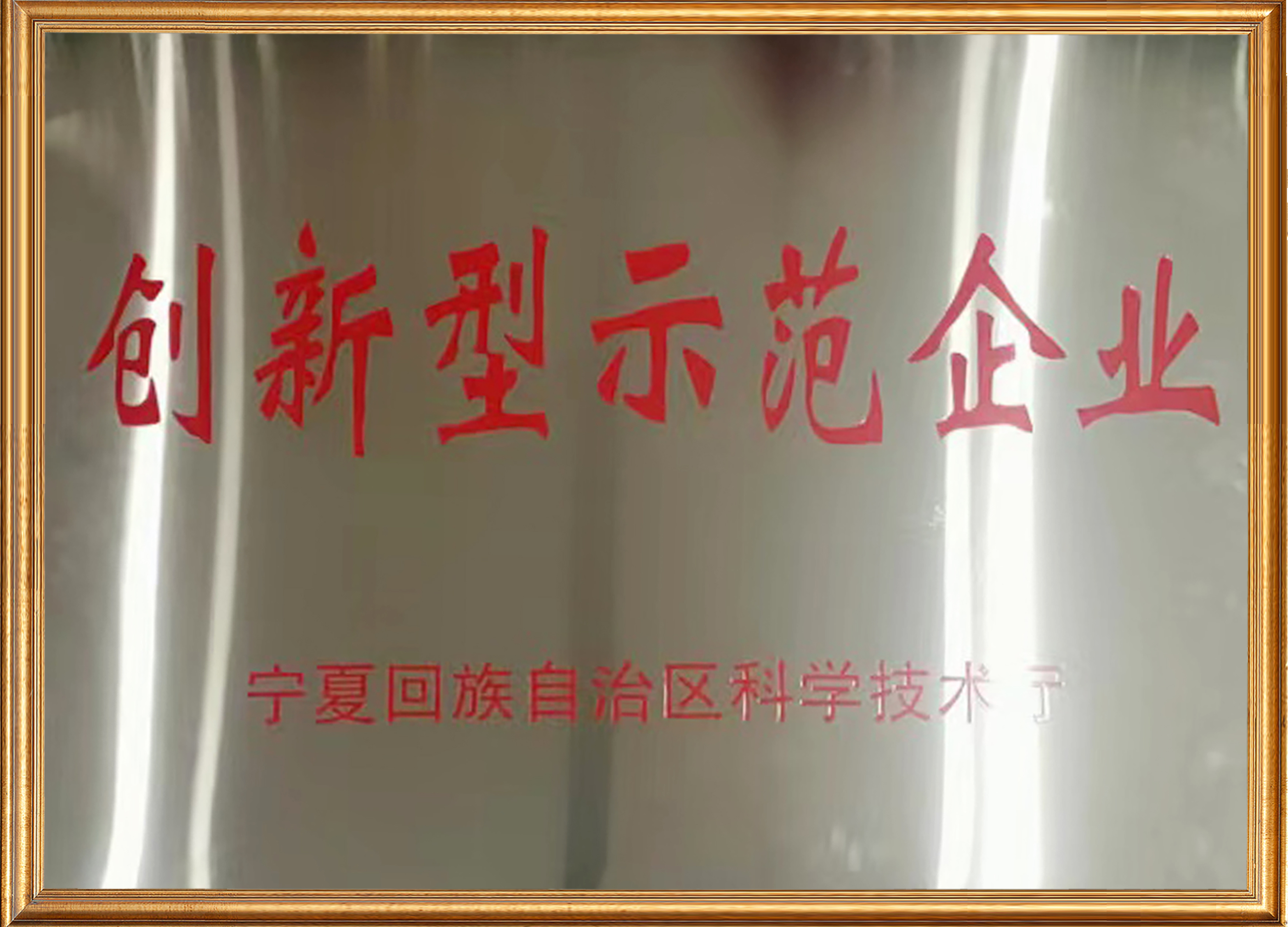 創(chuàng)新型示范企業(yè) 2.jpg